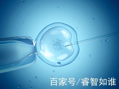 代生男孩包性别